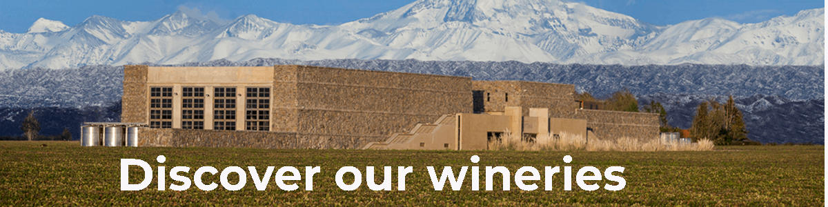Argentine Wineries