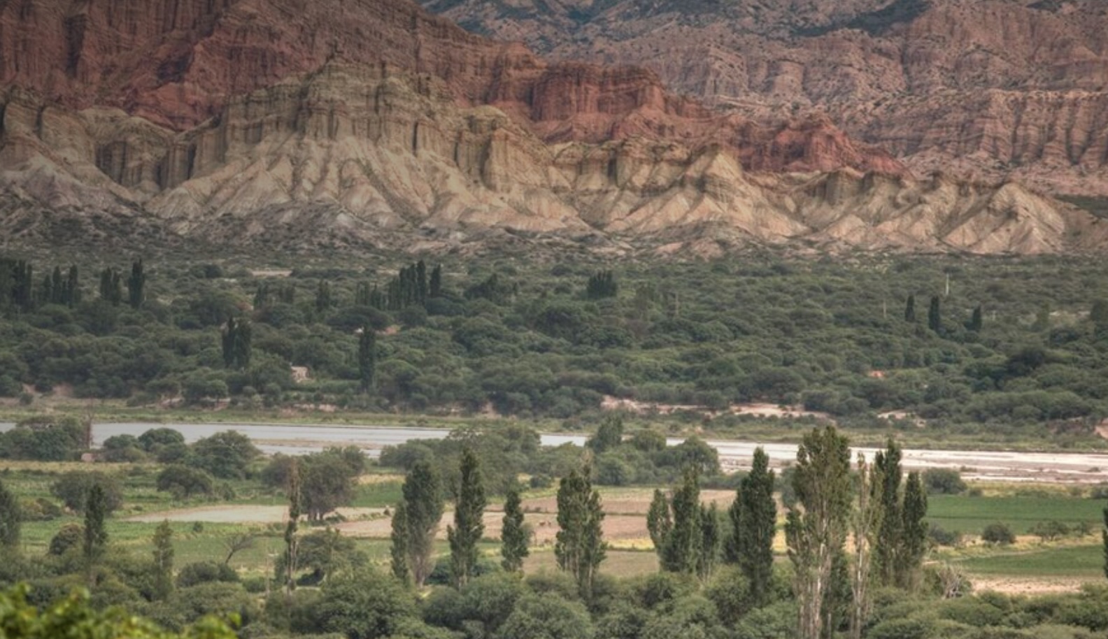 Bemberg Estate Wines