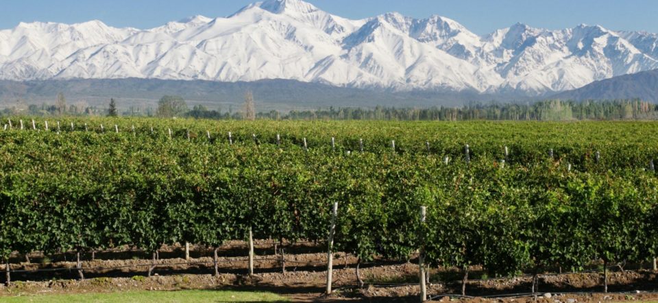 Bodega Estancia Mendoza