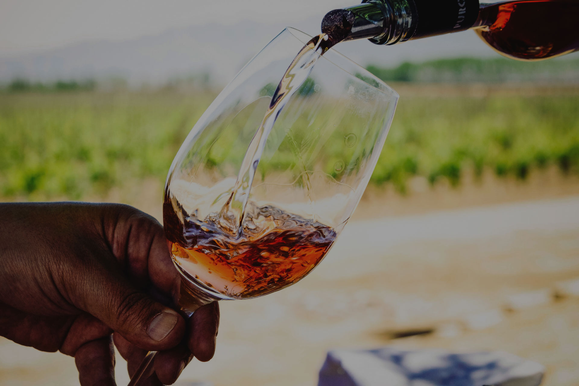 Dieter Meier & Family Wines