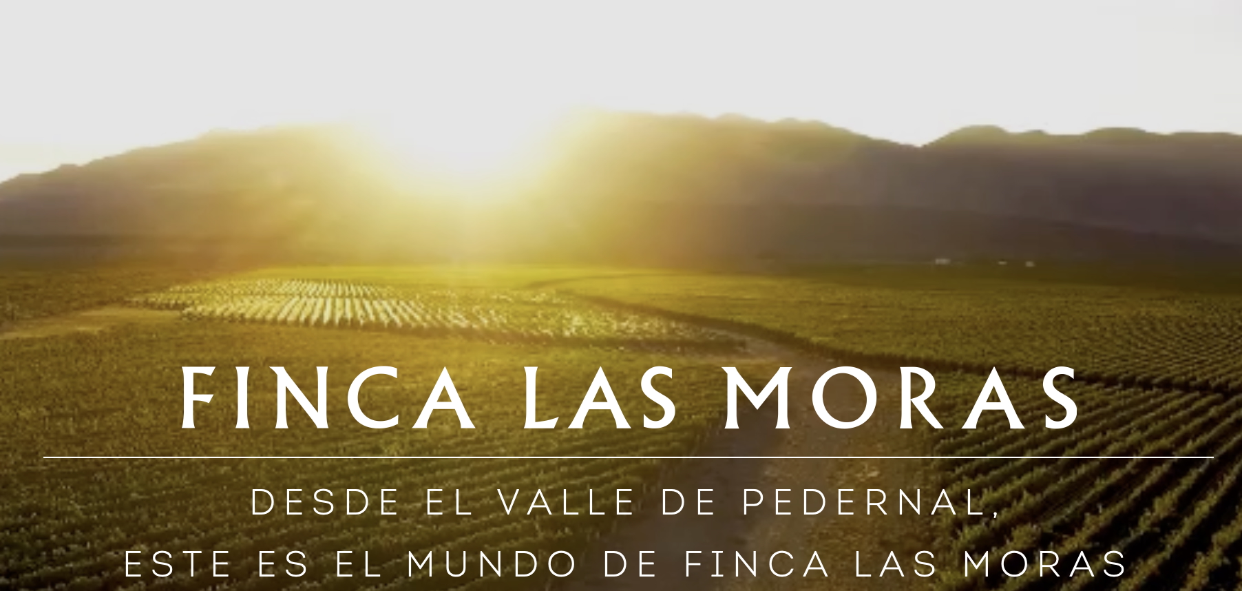 Finca Las Moras