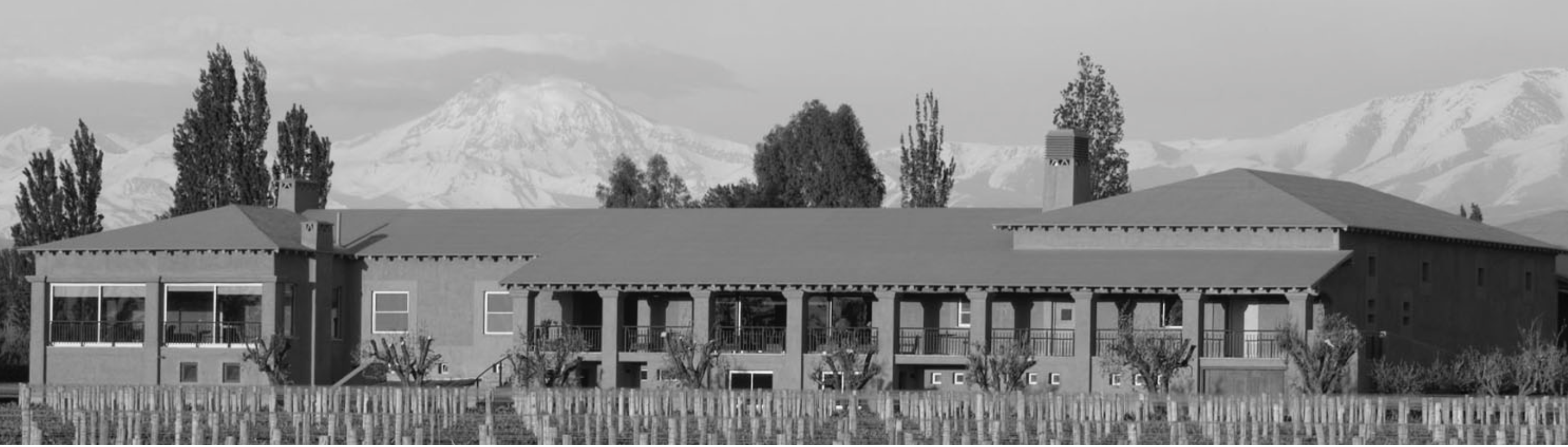 Finca y Bodega Vistalba