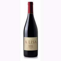 A Lisa Malbec Magnum 1500 cc 2021