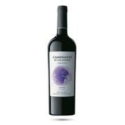 Caminante de los Mundos Malbec Bio 2021