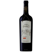Botella de FINCA GABRIEL Malbec 2021